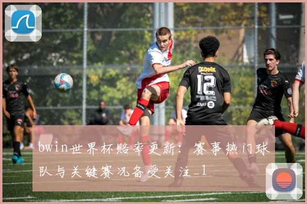bwin世界杯赔率更新:赛事热门球队与关键赛况备受关注_1