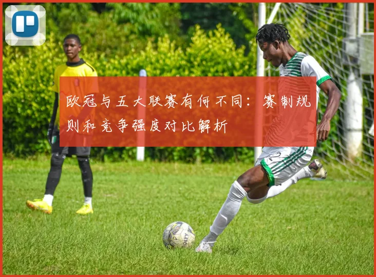 欧冠与五大联赛有何不同:赛制规则和竞争强度对比解析