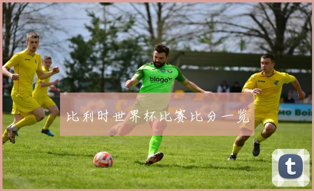 比利时世界杯比赛比分一览
