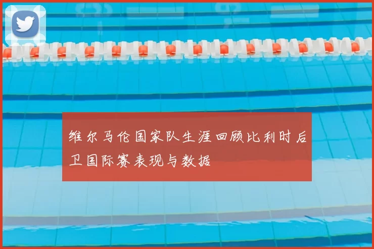 维尔马伦国家队生涯回顾比利时后卫国际赛表现与数据