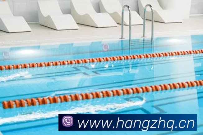 App Interface Preview